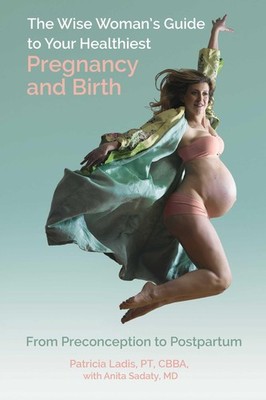 The Wise Woman's Guide to Your Healthiest Pregnancy and Birth by Ladis
