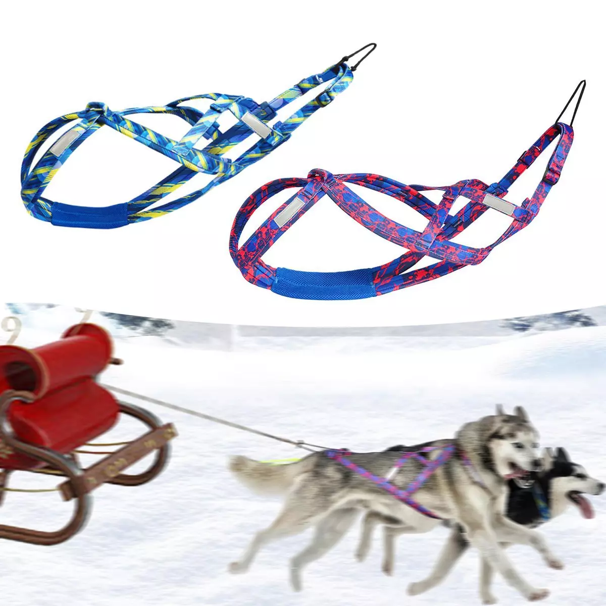 Dog hot sale pulling sport