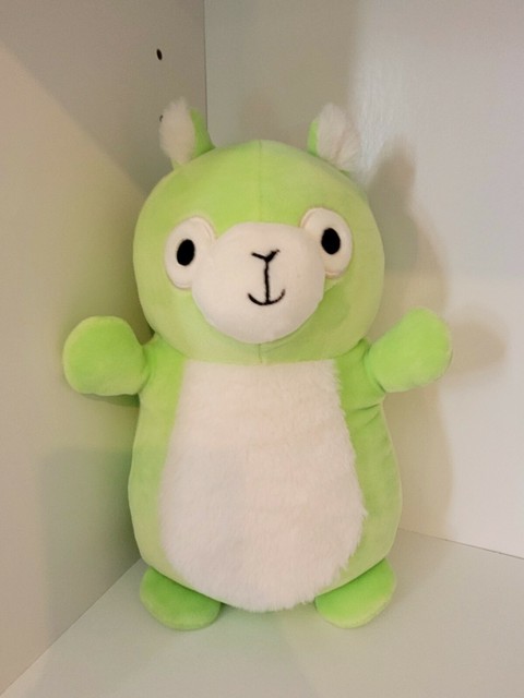 Squishmallows Mystery Squad 10