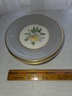 61 PCS. VTG. Princess -Golden  Peony -Tru-tone USA- WITH ACCESSORIES — photo 9