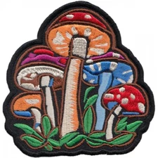 Mushroom Sew On /Iron On Embroidered  Biker Patch   Grateful  Dead