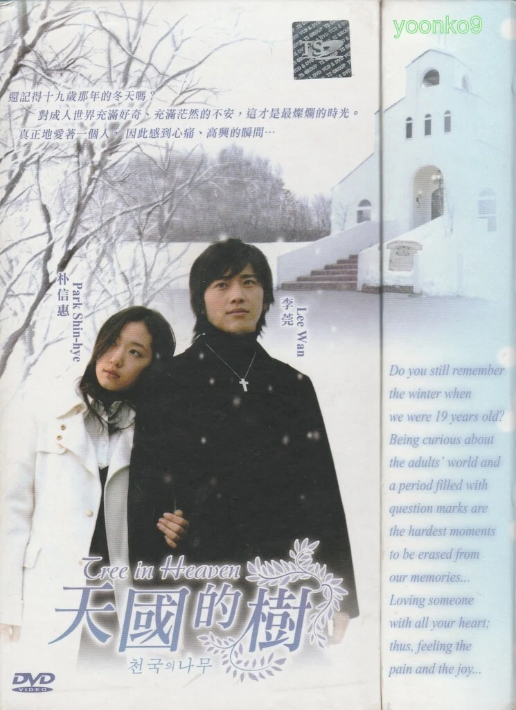 Park Shin Hye Tree Of Heaven