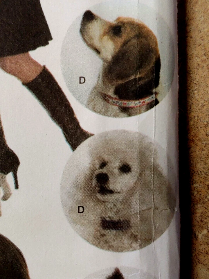 WOW! MISS & SM DOG MATCHING COATS BAG HAT SCARF SEWING PATTERN Simplicity 4749 - Image 3 of 4