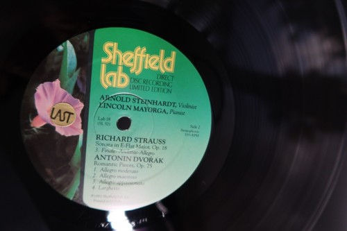 Steinhardt, Mayorga Strauss & Dvorak romantic music for violin and piano - Picture 4 of 4