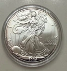 2004 American Silver Eagle 1 Oz .999 Fine Silver Coin - Rim Toning on Both Sides
