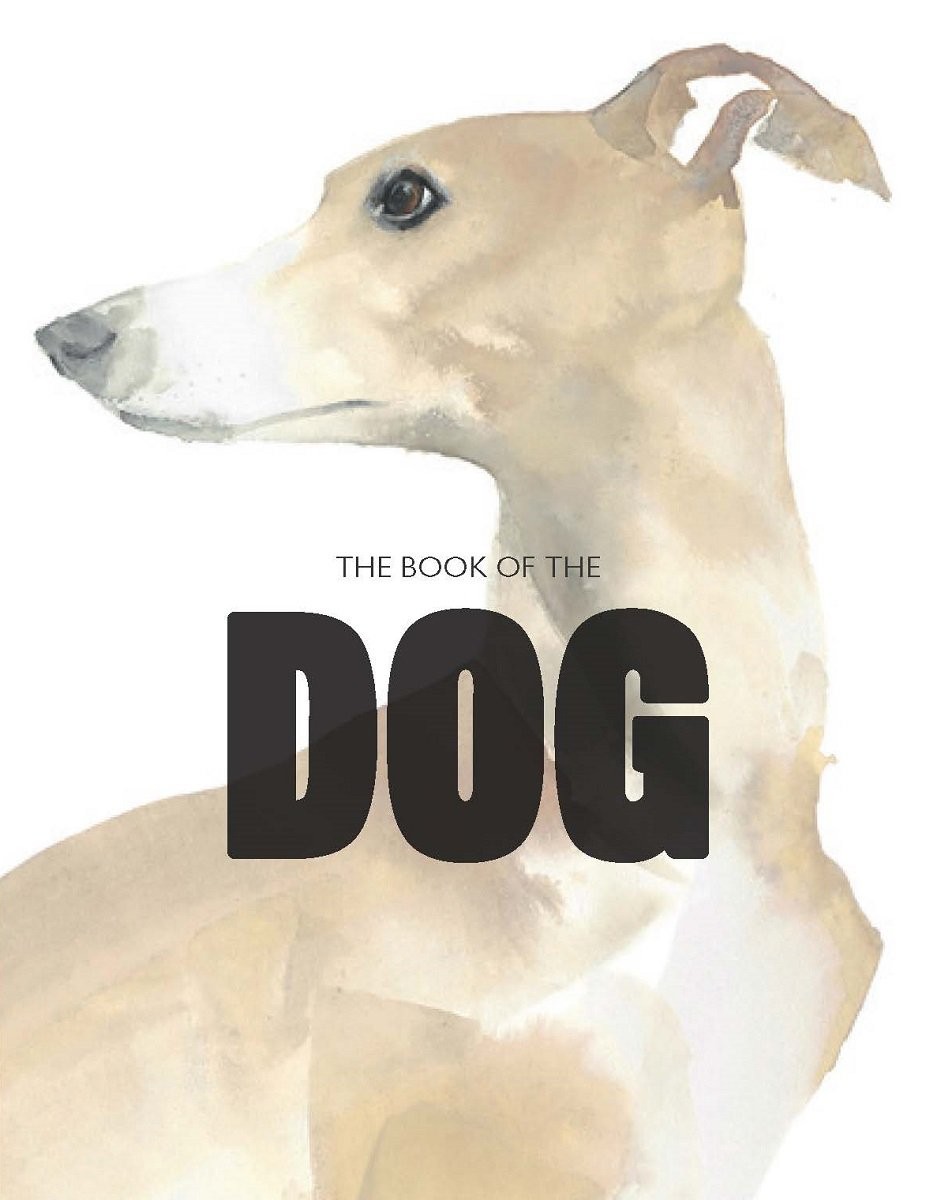 The Book of the Dog Dogs in Art by Angus Hyland (Paperback Book) - Image 7