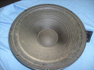 15 inch raw speakers