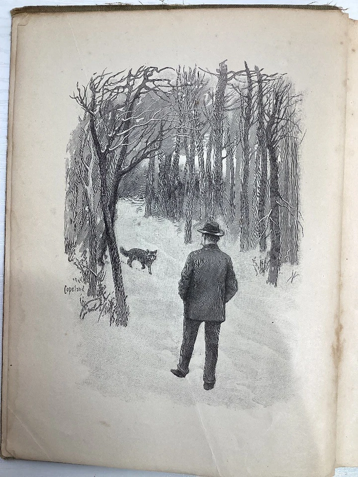 WAYS OF WOOD FOLK (1902, Hardback) WILLIAM J. LONG- CG P11 - Image 4 of 4
