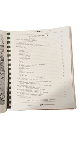 REFERENCE HANDBOOK OF STRAIGHT EGYPTIAN HORSES Volume IV Z - Picture 10 of 12