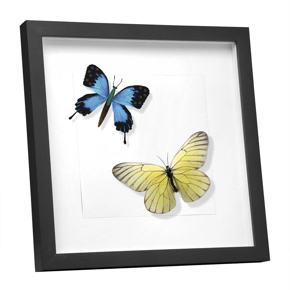Bilderrahmen 3D Foto Objektrahmen Holz 9 Formaten 13x18 bis 40x40cm Glasscheibe