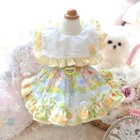 Foto 19 di 26