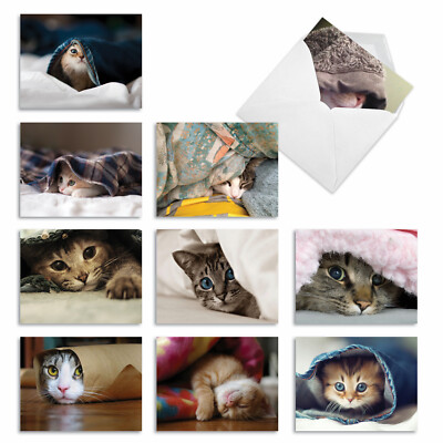 10 Assorted All Occasion Blank Note Cards - CAT YOU SEE ME NOW M1543BN