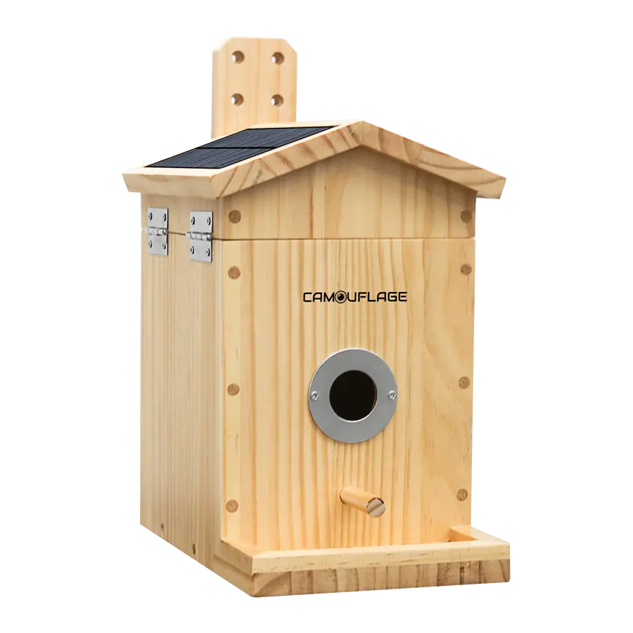 Camouflage EZ NestEye Bird Box Camera UK