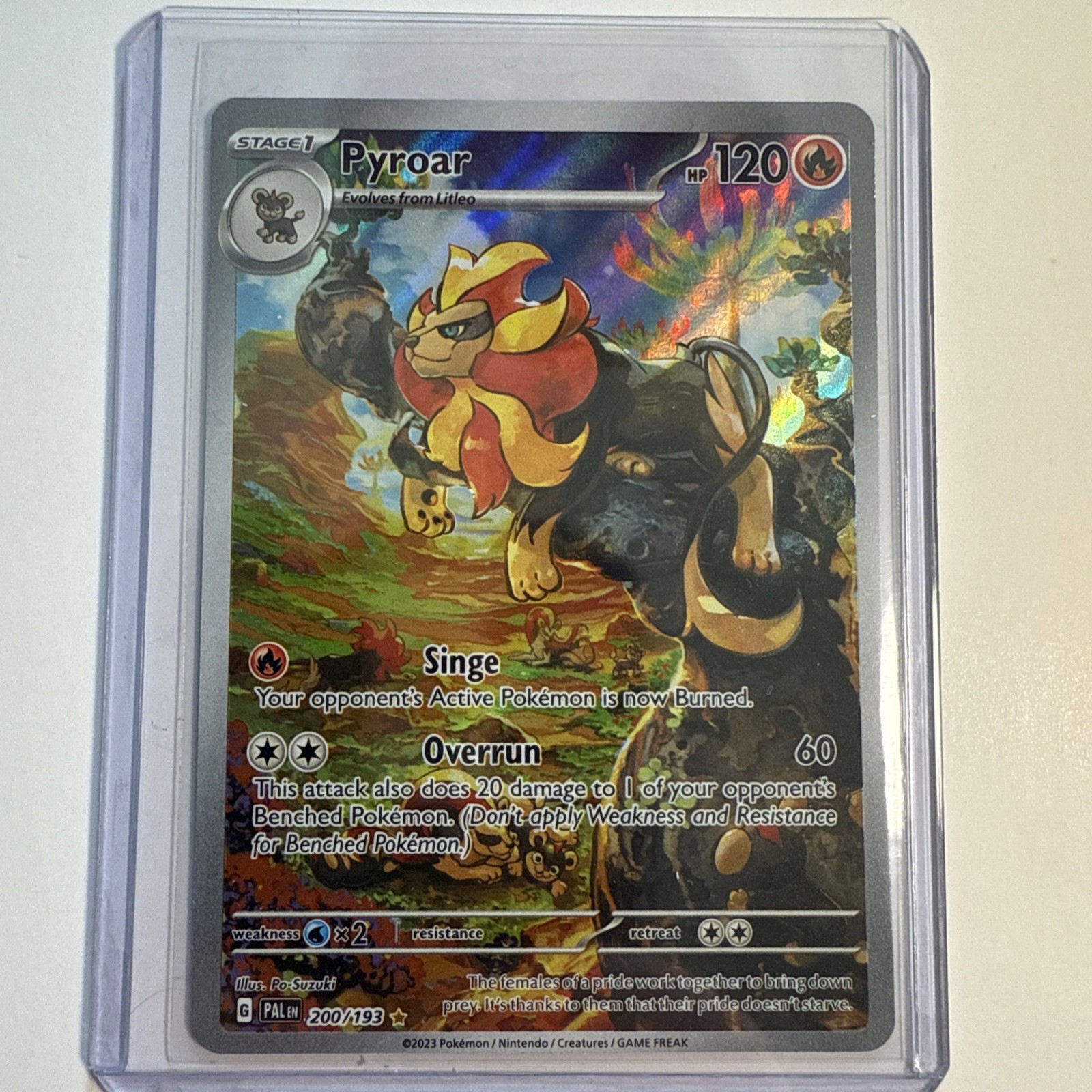 Pyroar 200/193 Sv02: Pokemon Paldea Evolved Holo - NM Condition