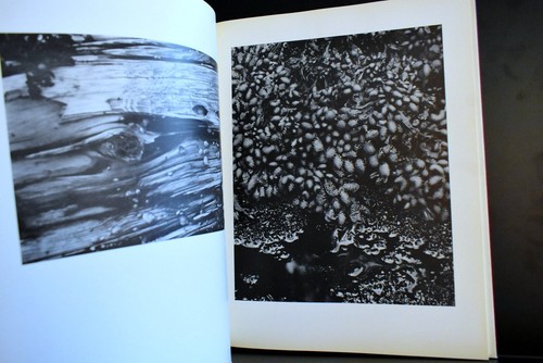 Time in New England 1. Auflage 1950 Paul Strand Nancy Newhall HC - Bild 5 von 6