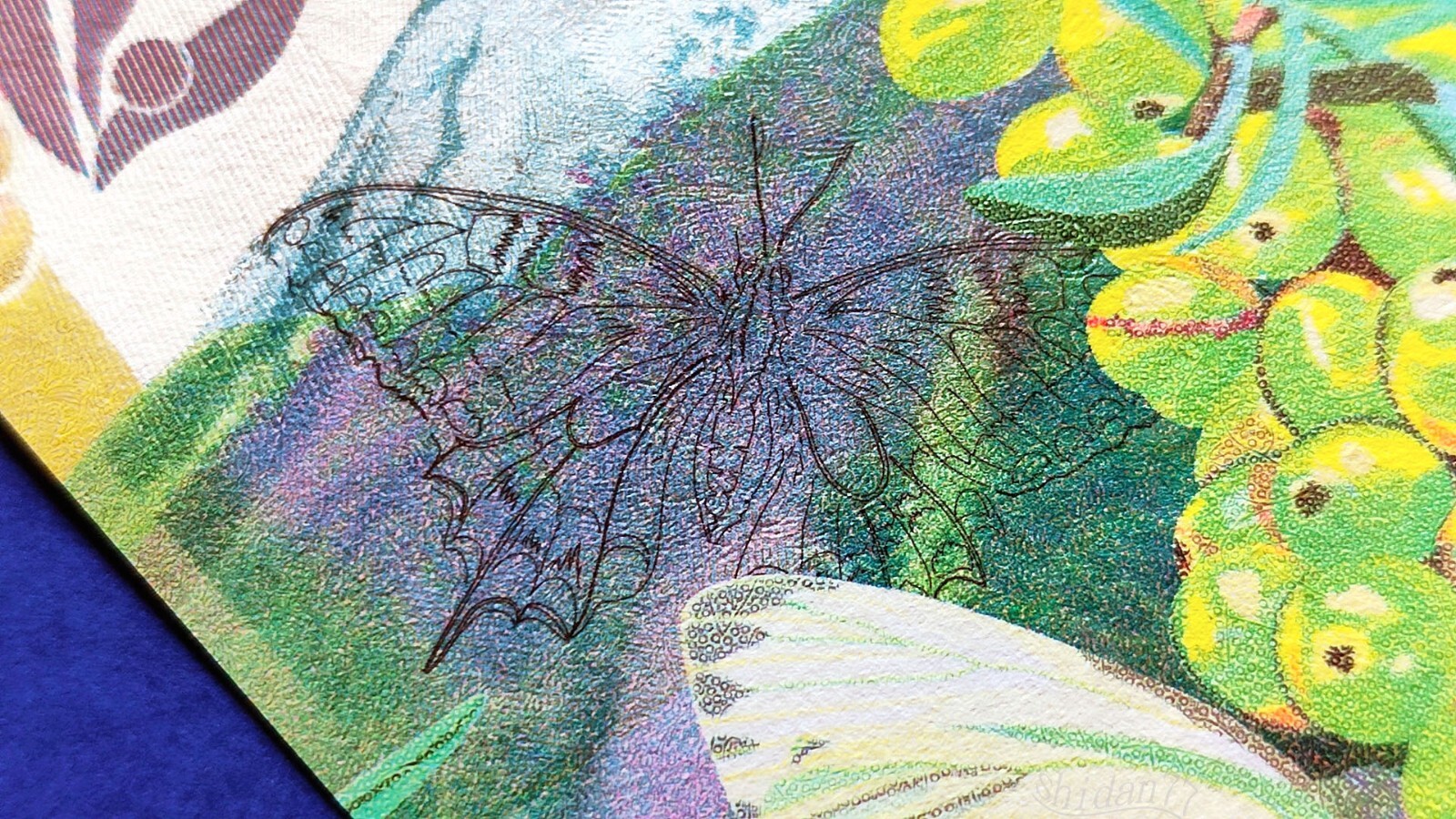 Picture 19 of 23
