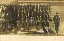 1906 Jesse Bentley Fox & Mink Trapper Arlington Vermont RPPC Photo Postcard COPY