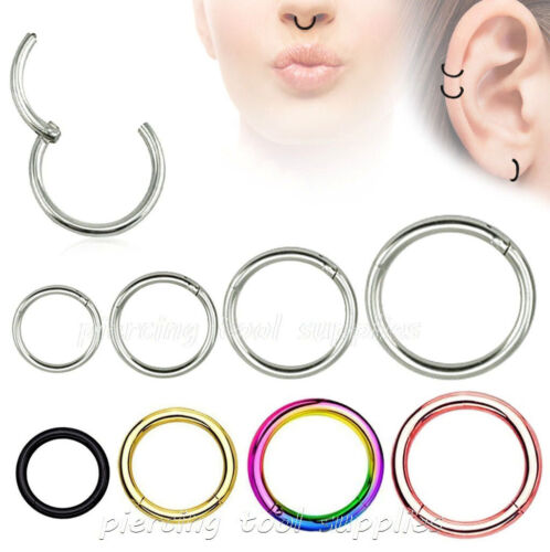 Hinged Seamless Segment Ring Surgical Steel Nose Hoop Earring Labret Septum Ring - Picture 1 of 15