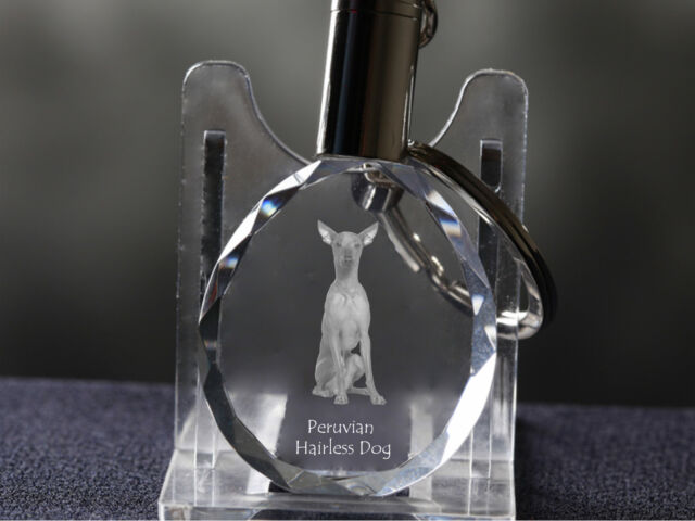 Peruvian Hairless Dog Crystal Round Keyring High Quality Crystal Animals AU Peruvian Hairless Dog Crystal Round Keyring High Quality Crystal Animals AU