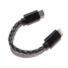 FiiO LT-LT2 Lightning to TypeC Data Cable to ...