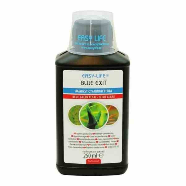 LOTTO DI 2 EASY LIFE BLUE EXIT 250 ML