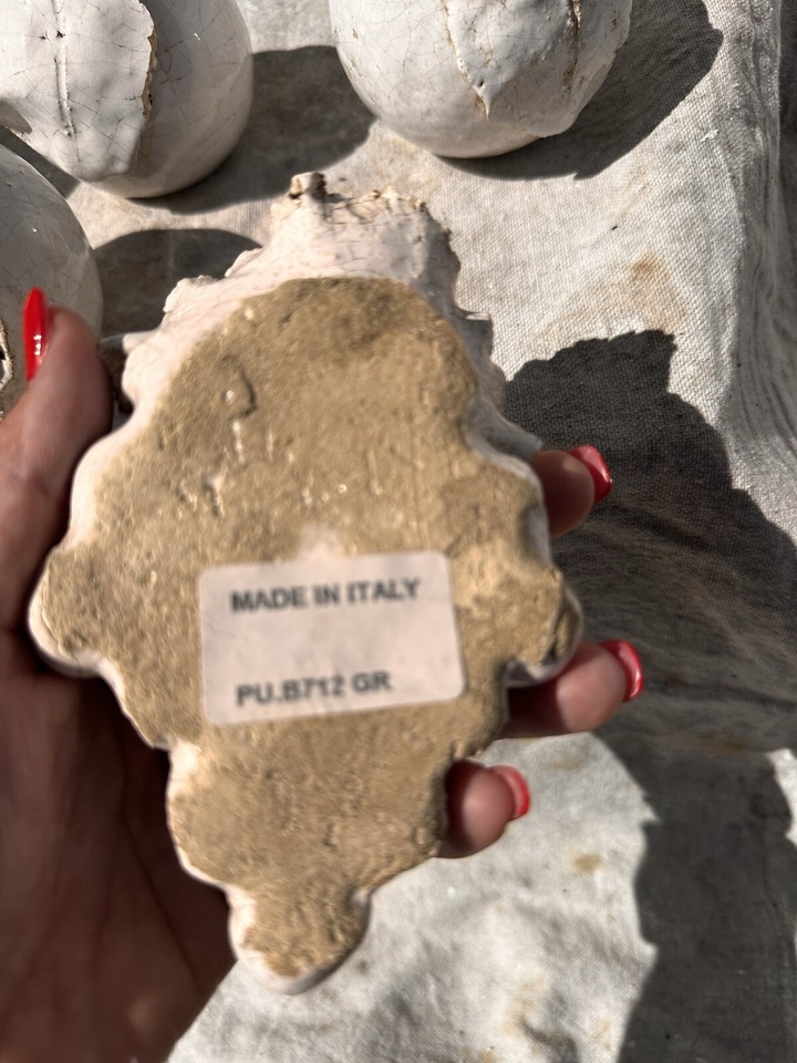 Handcrafted Italian Ceramic Blanc de Chine White Fruit Set Of 6 eBay