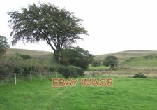PHOTO  GRAZING LAND NEAR LLANDDEWI-BREFI CEREDIGION BEYOND THE GATE THE OPEN LAN