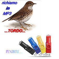 Richiamo per uccelli in MP3...Speciale Tordo!!!!