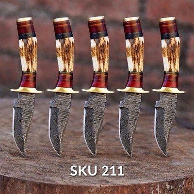 Lot of 5 Knives Handmade Damascus Fix Blade Skinner Knife Stag Antler Handle