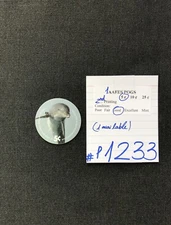 AAFES POGS, 2nd Series/Printing,1 POGS, 5¢, #P1233, GOOD