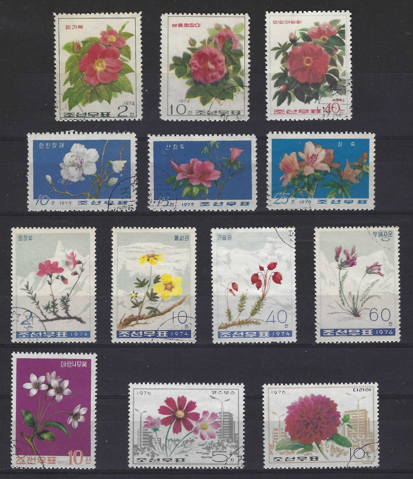 Foto 1 di 1