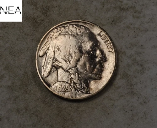 1929-S/S Buffalo Nickel RPM Error ~ Very Fine VF ~ ZB790