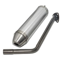 Auspuffanlage Giannelli Endtopf Aluminium Mit ABE FüR Peugeot