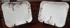 Haviland Limoges Set of 2 "Old Carnation" Schleiger 1158-6 relish dishes; C 1890