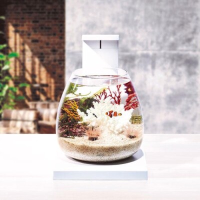 GEX Glass aqua PERCO T-WH all in one aquarium 6L USB power supply 