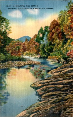N-49, Mountain Stream, Asheville, Asheville Post Card Co. Postcard