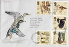 1996 BRITISH BIRDS ON SUPERB HAND PAINTED FDC