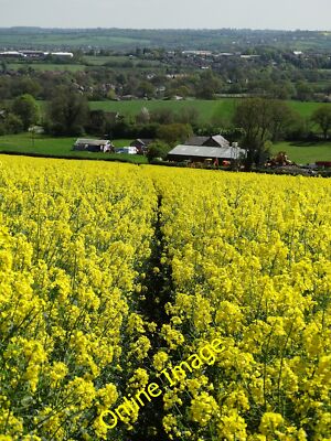 Photo 6x4 Path to Hollis Farm, Holmgate Clay Cross Through a field of blo c2014