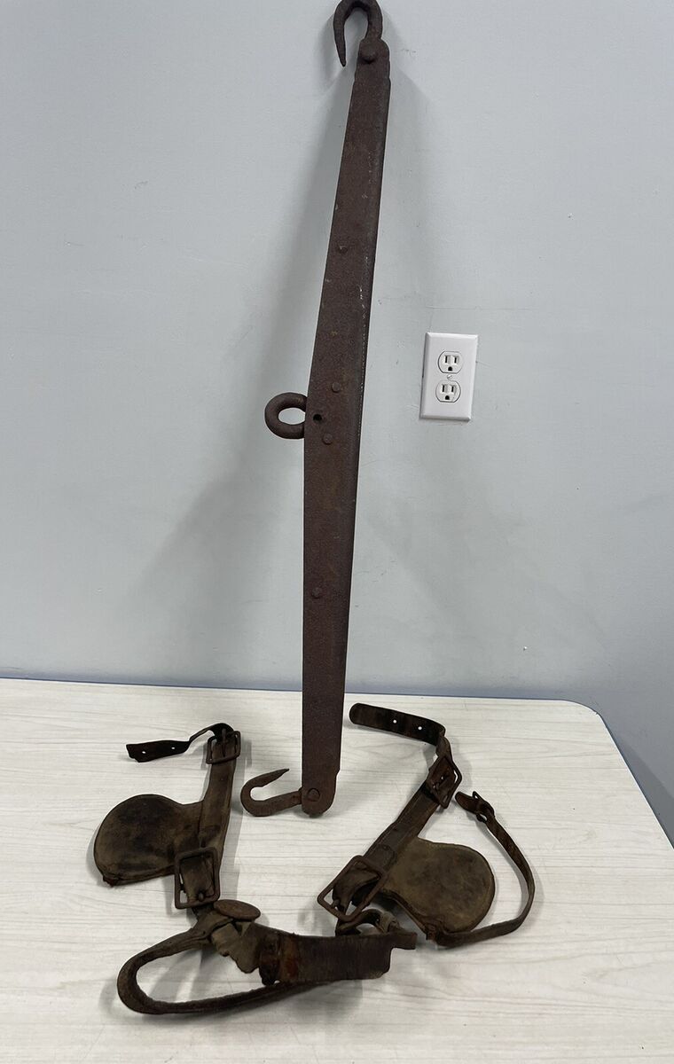 Vintage Leather Horse Bridle w/Blinders And 36 Vintage Leather Horse Bridle w/Blinders And 36