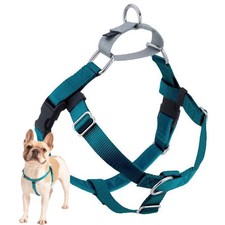 No Pull Dog Harness For Optimal Control Made In Usa Teal 24-28 Chest Size