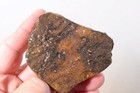 Estate Plume Moss Agate lapidary 3.8 oz. windowed rough — photo 7