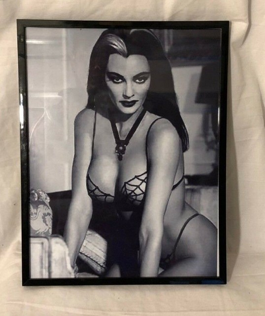 THE MUNSTERS YVONNE DE CARLO LILY MUNSTER SEXY ACTRESS BIKINI PUBLICITY PHOTO | eBay