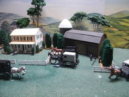Lot 1 A AMISH HORSE AND BLACK AMISH BUGGY. - Picture 9 of 16