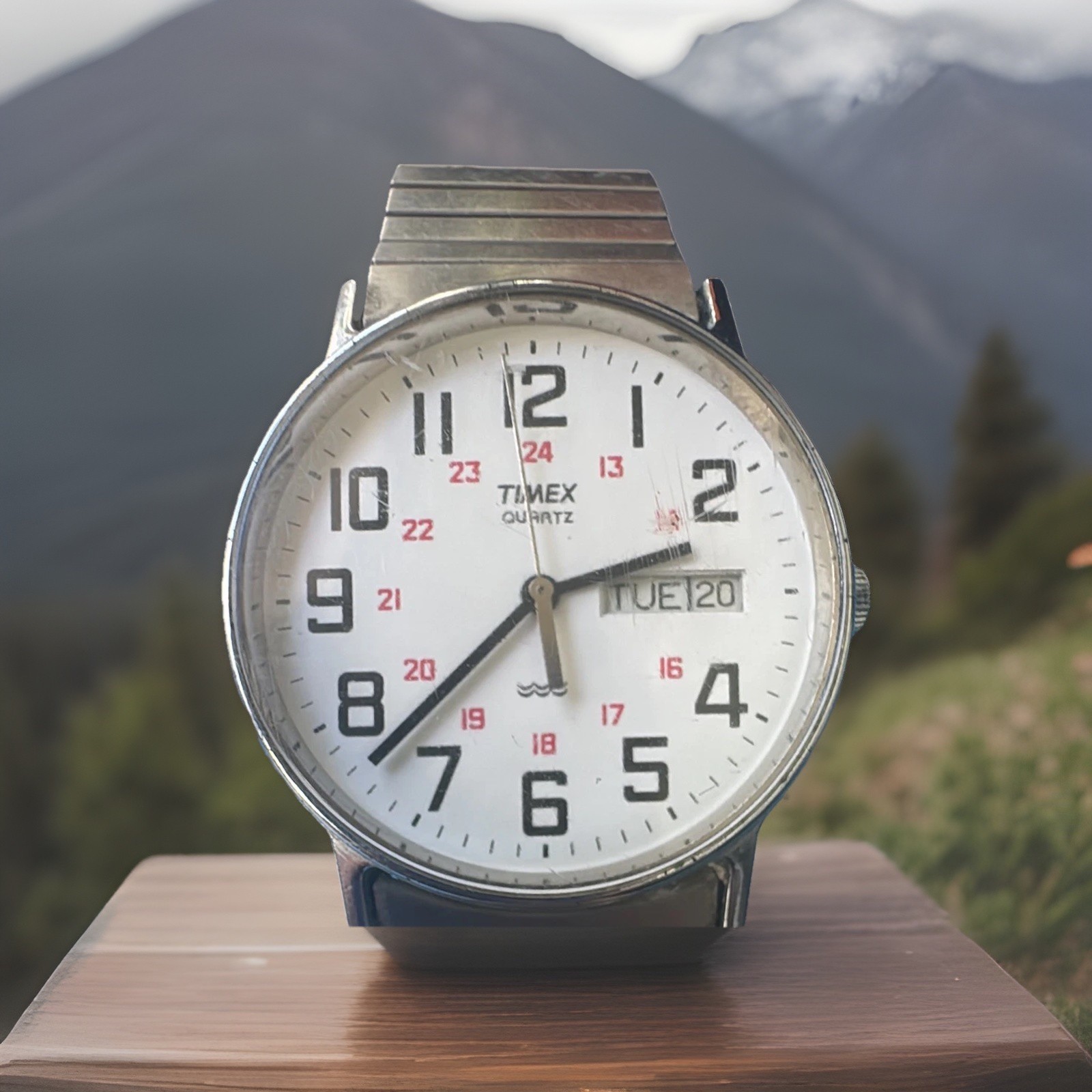 Timex Easy Reader Quartz Day-Date - image 1