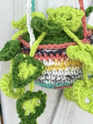 New Crochet Hanging Plant Green Variegated Rainbow Planter Monstera Home Decor