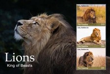 Gambia 2017 - Lions - Sheet of 3 Stamps - MNH
