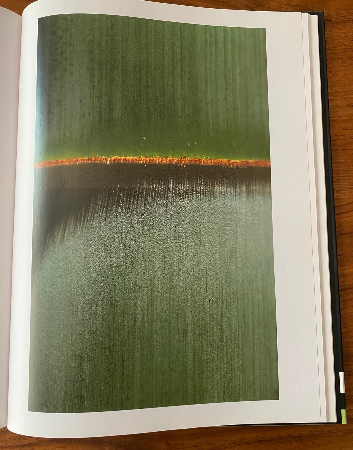Foto-Bildband: "Der Geist des Tees" von Sen Shôshitsu