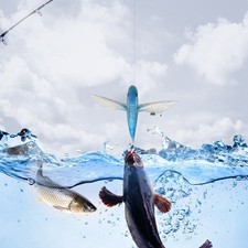 Artificial Bait Fishing Lure 3D Simulation 52-124 G Flying Fish Design