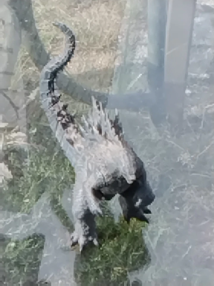 Sega Legendary Godzilla Figure Pre Owned In Good Condition - Image 2 of 4