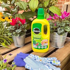 Miracle-Gro Pour and Feed Liquid Plant Food, 1L 5.38 per litre